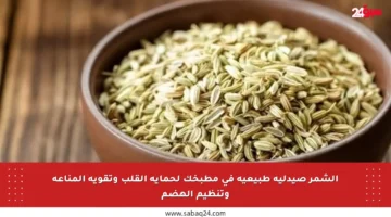 الشمر صيدلية طبيعية في مطبخك لحماية القلب وتقوية المناعة وتنظيم الهضم